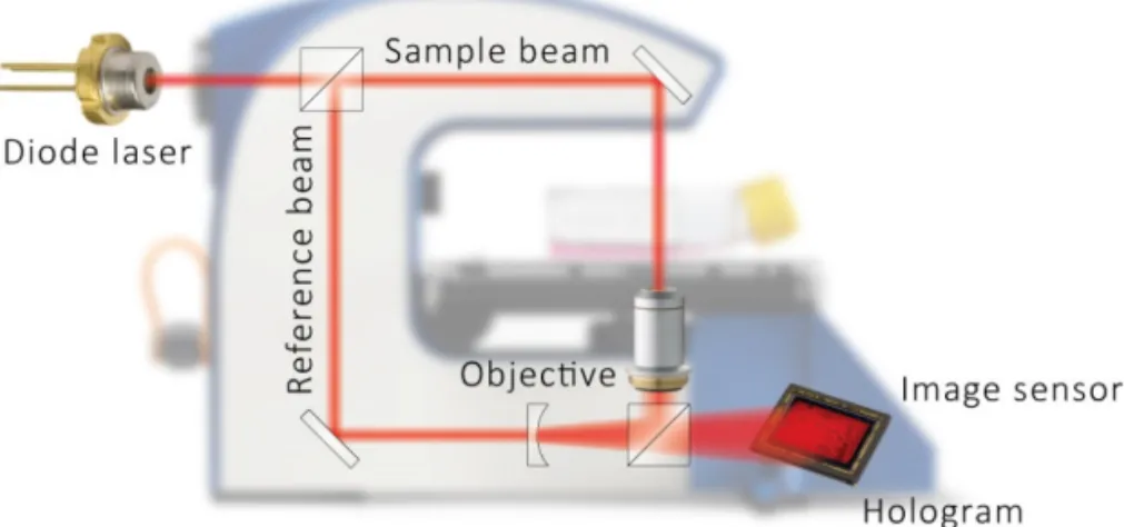 Figure 8. Schematic view of the DH microscopy technique  (www.phiab.se). 