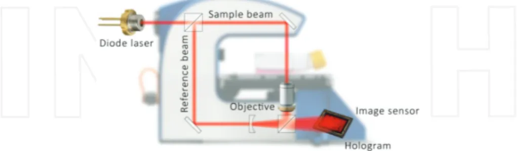 Figure 1. Schematic view of the DH microscopy technique. A digital holographic setup with a laser beam is split into two identical beams