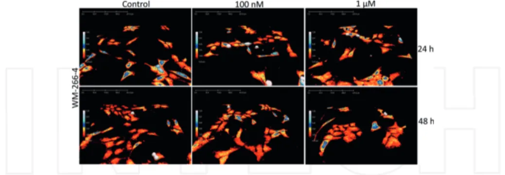 Figure 4. 3D-images of WM-266-4 cells. The human skin melanoma cell line WM-266-4 treated with PLX4032 (100 nM and 1 μM), or left untreated