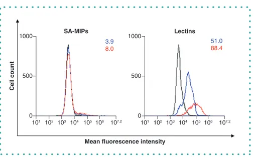 Figure 4. Histograms presenting the mean ﬂuorescence values of the T47D breast cancer cell line stained with (left histogram) dSA-molecularly imprinted polymers in a concentration of 0.04 mg/ml (blue) and sialic acid – molecularly imprinted polymers in a c