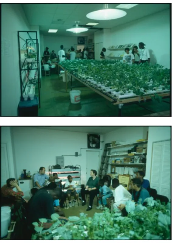 FIG.  3–4: Haha  Collective,  Flood  (1993),  produced  within  Culture in Action (Haha, 1992-95a; 1992-95b)