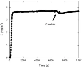 Fig. 9. Dry mass of FFA adsorbed from FFA2 formulation diluted to a dosage of 2500 ppm estimated from ellipsometry measurements before and after rinsing with CHA