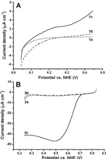Fig. 4. (A) Linear sweep voltammograms of anodes (grey curve 1a; without adsorbed CDH) and bioanodes (solid curve 1c and dashed curve 1b; biomodiﬁed electrodes) operating in PBS with (solid curve 1c and grey curve 1a) and without (dashed curve 1b) 5 mM glu