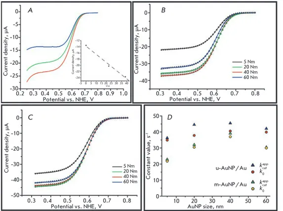 Fig. 2. А) Cyclic voltammo- voltammo-grams (cathodic waves) of  biomodified m-AuNP 20 /Au  electrodes recorded at  dif-ferent rotation rates, rpm:  0 (blue), 500 (green) and  1500 (red)