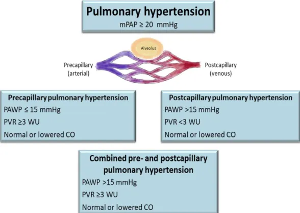 Figur 1. Visar hemodynamiska parametrar som definierar pulmonell hypertension. MPAP (mean  pulmonary artery pressure delvis medeltrycket i arteria pulmonalis), PAWP (pulmonary arterial  wedge pressure delvis trycket i vänster förmak), PVR (pulmonary vascul