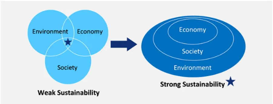 Figure N 4: Weak and strong sustainability,
