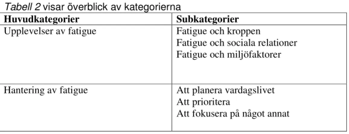 Tabell 2 visar överblick av kategorierna 