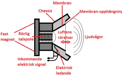 Figur 1. Principskiss av en elektrodynamisk högtalares komponenter (efter Hi-Fi klubben [13])