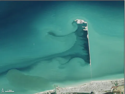 Figure 5.7 “The pier that extends from Progreso into the Gulf of Mexico is  among the longest such structures in the world.” NASA Earth Observatory 