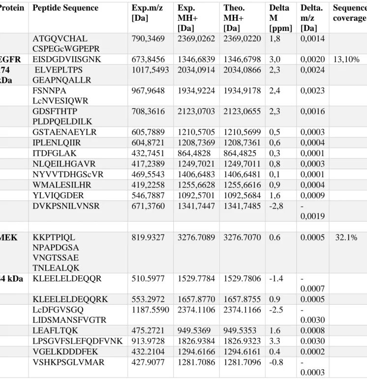 Table 8. Peptides identified by LC-MS/MS analysis for the proteins EGFR and MEK in HeLa  transformed cells