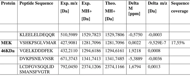 Table  9.  Peptides  identified  by  LC-MS/MS  analysis  for  the  proteins  MEK  in  HEK293T  transformed cells