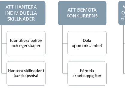 Figur 1. Indelningen av kategorier och underkategorier.  Att hantera individuella skillnader 