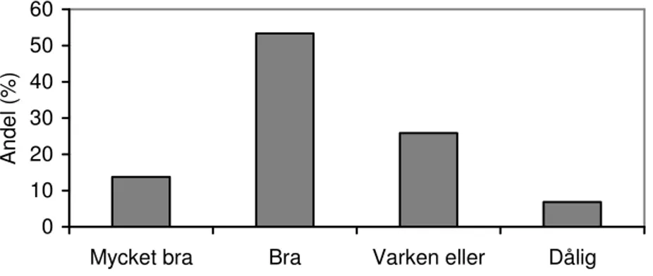 Figur 14. Visar andel (%) av elevernas uppfattning av den informationen om projektet. (N=58) 