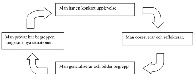 Figur 1. Kolbs inlärningscirkel (Egidius, 2003, s.117). 