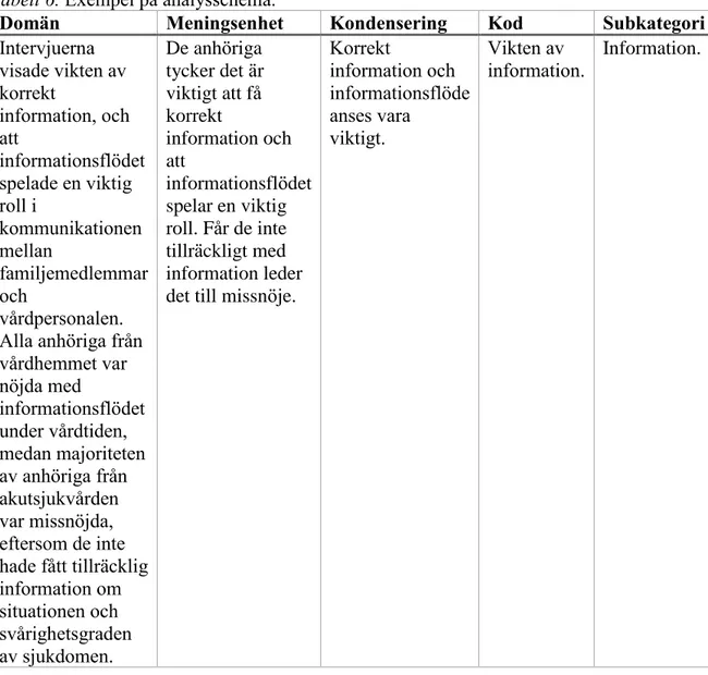 Tabell 6. Exempel på analysschema. 