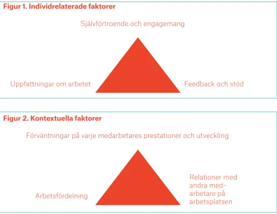 Figur 1. Individrelaterade faktorer