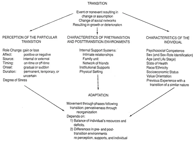 Figure 2. Model of human adaption to transition  (Schlossberg, 1981). 