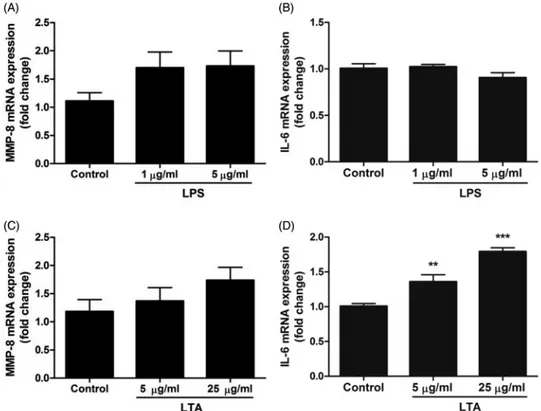 Figure 2. Treatment with LTA enhances IL-6 mRNA expression in MDPC-23 cells. (A-D) Cells were stimulated with either LPS (1 and 5 mg/ml) or LTA (5 and 25 mg/ml) for 24 h and mRNA expression for MMP-8 (A, C) and IL-6 (B, D) determined by quantitative real-t