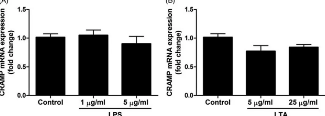 Figure 5. Treatment with LPS and LTA has no effect on CRAMP mRNA expression in MDPC-23 cells