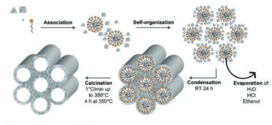 Figure  12. The illustration represents the  formation  mechanism  of  the  templated mesoporous titania