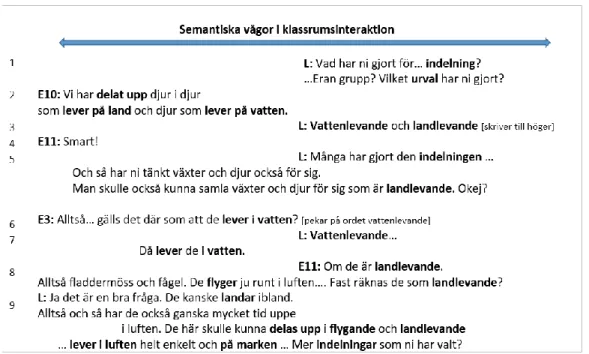 Figur 5. ”Kategorisering av organismer”. Semantiska vågor i helklassamtal (Nygård Larsson,  2018) 