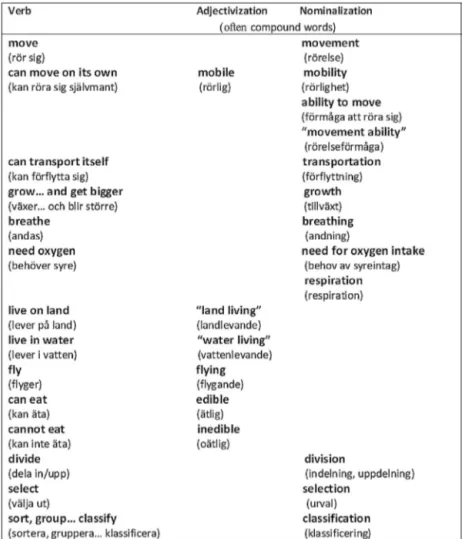 Fig. 8. Teacher–student interaction – a summary on a word-level.