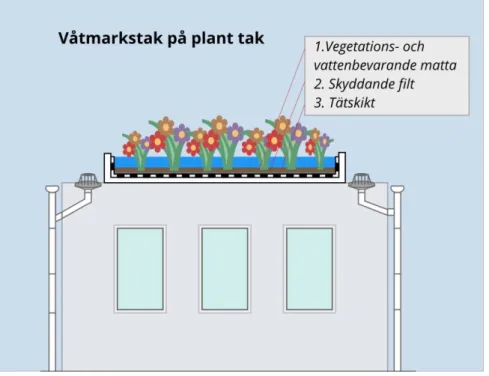 Figur 4. Principiell illustration på ett plant våtmarkstak 