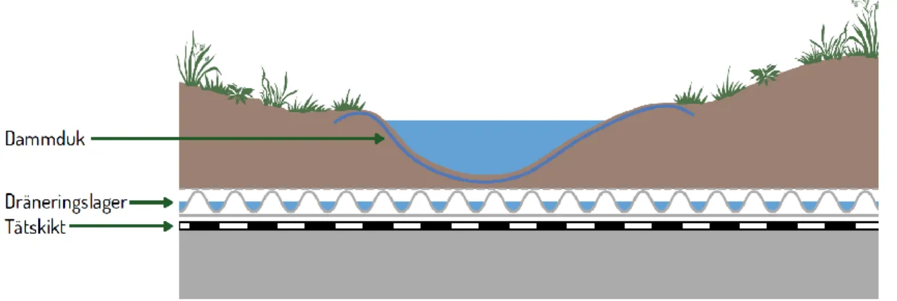 Figur 5. Illustration av plant våtmarkstak från (Pettersson Skog, et al., 2017) 