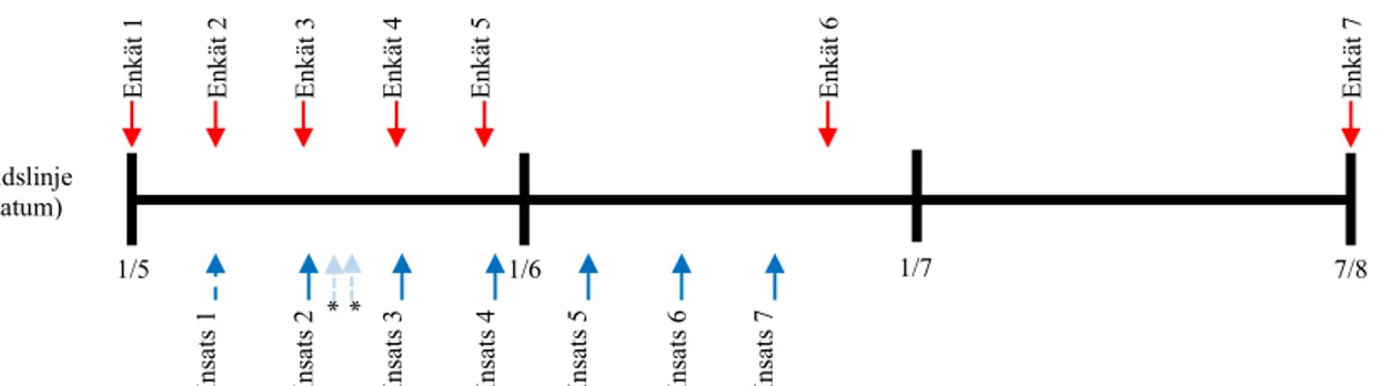 Figur 2. Schematisk bild över projektets delar i tid, från start av projektet i början av maj till projektets avslut i  mitten på augusti