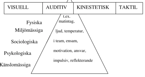 Figur 4.1 Dunn och Dunns lärstilsmodell. 