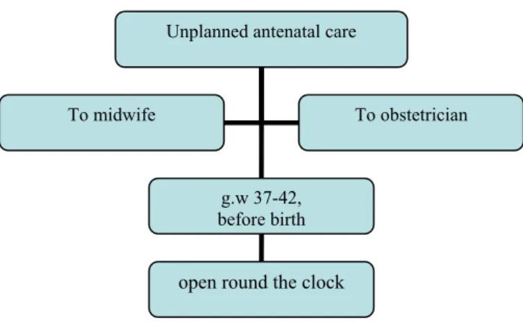 Figure 3: Unplanned antenatal care.