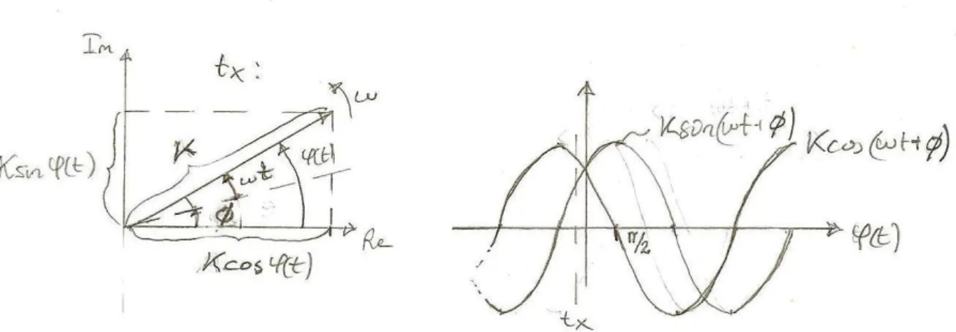 Fig.  3.2  Representation  av  en  cosinussignal  som  vektor  i  det  komplexa  talplanet