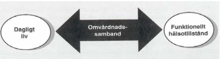 Figur 1. Sambandet mellan dagligt liv och funktionellt hälsotillstånd. Ur Handbok   i omvårdnadsdiagnostik (Carnevali,1996, s 22)