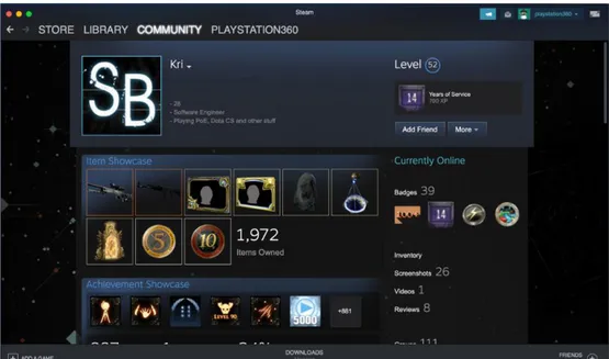 Figure 3: A typical Steam profile page. 