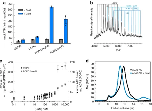 Fig. 1 Incorporation of ACA8 in nanodiscs and activation by CaM-binding. a ACA8 ATPase activity assay