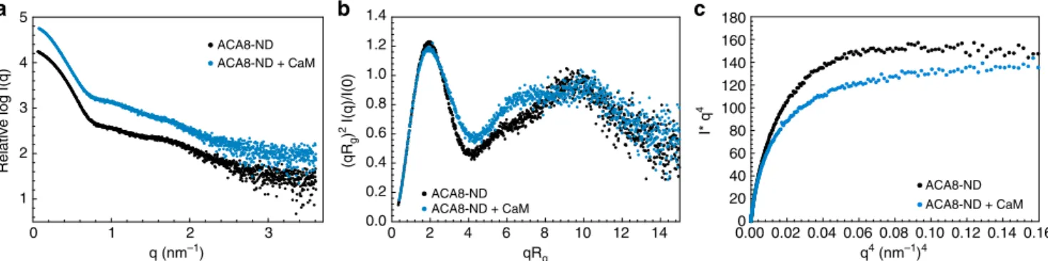 Fig. 3 Small-angle X-ray scattering (SAXS) analysis of nanodisc-incorporated ACA8 and its complex with CaM