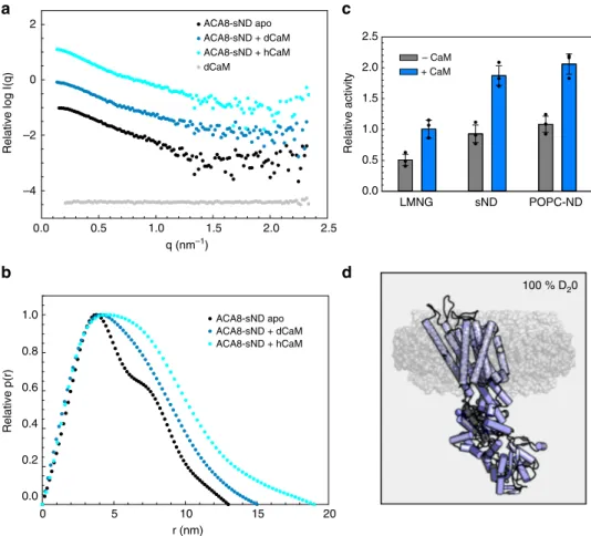 Fig. 4 Small-angle neutron scattering (SANS) analysis of ACA8 and its ACA8-CaM complexes in stealth carrier nanodiscs