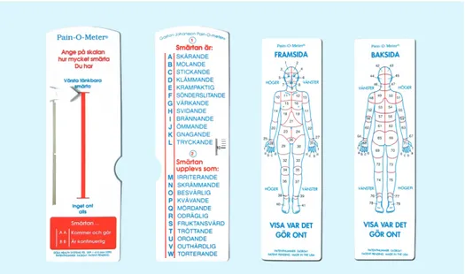 Figure 3. The Pain-O-Meter. (© Fredrik von Gerber)OA Grill-Wikell 15.05.qxp  19/8/05  10:48 am  Page 3