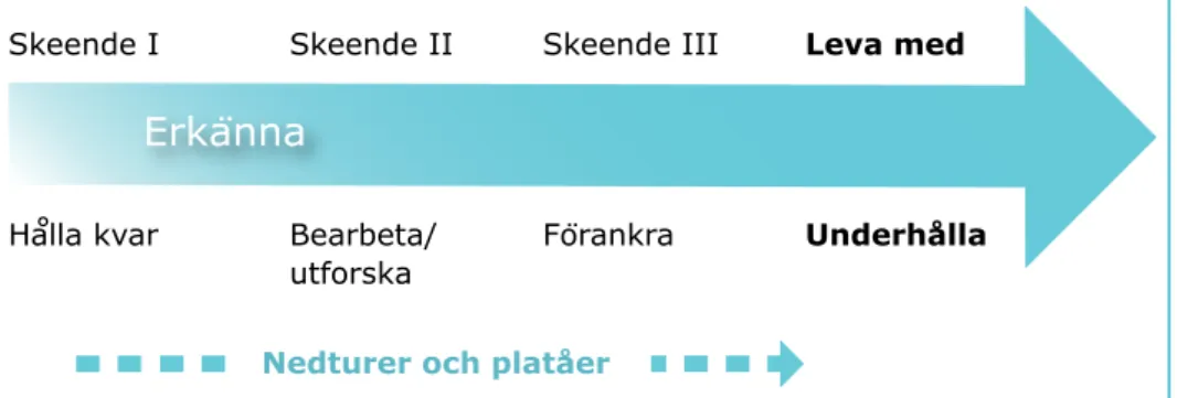 Figur 5: Livsomställning vid dövblindhet, Leva med