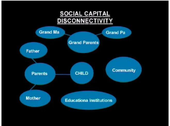 Figure 2 Social capital disconnectivity  80