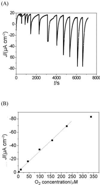 Fig. 2. (A) Typical chronoamperometric response measured on ThLc/LDG electrode using bias potential of 0.2 V vs Ag/AgCl with rotation speed of 800 min −1 at 27 ◦ C.