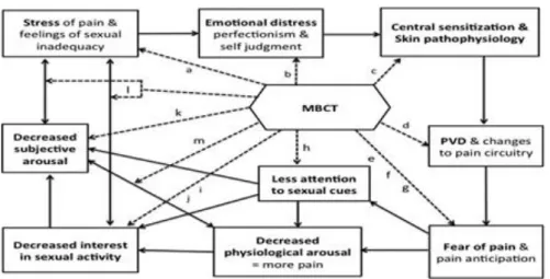 Figur 2. Modell över hur Bassons sexuella responscykel i kombination med MBCT stegvis används för att  hantera vulvasmärta