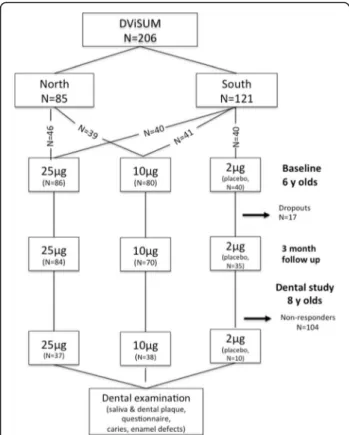 Fig. 1 Flow diagram of the numbers of children in the basic intervention DViSUM and placebo groups at baseline, 3 month follow up and at the dental follow up at 8 years of age