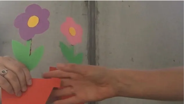 Figure 7: Video prototype of shared plant idea. Produced by author. 