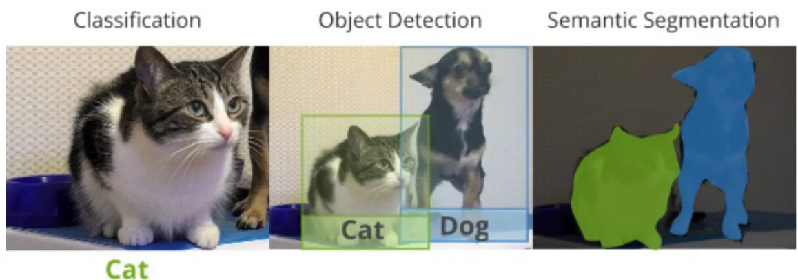 Figure 3: The difference between the output of an image classifier, an object detector and an image segmenter.