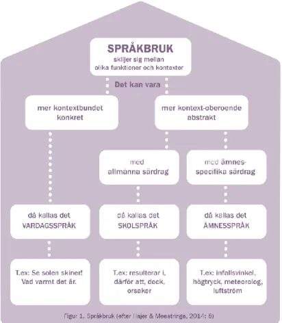 Figur 1. Språkbruk (efter Hajer &amp; Meestringa, 2014) 
