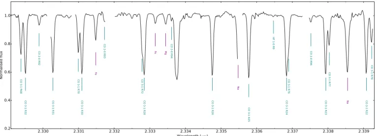 Fig. 8. Extract of the spectrum of 10 Leo in the K band, featuring atomic lines, and molecular lines of CO and HF