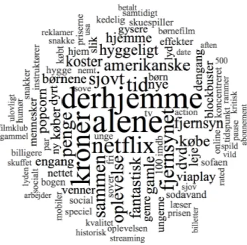 Figure 4 - Word Cloud showing main themes at the focus groups (Nvivo) 