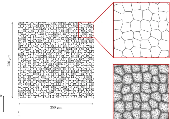 Figure 3: The initial 900 grain polycrystal used in the 2D mesoscale simulations. Grains with (111) texture are white and grains belonging to the (001) texture component are shaded gray.