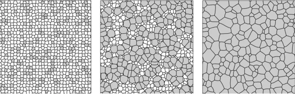 Figure 1: Abnormal growth, from left to right, of (001) grains (gray) at the expense of the (111) texture component  (white)